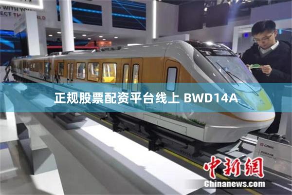 正规股票配资平台线上 BWD14A