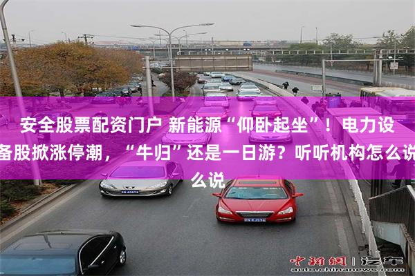 安全股票配资门户 新能源“仰卧起坐”！电力设备股掀涨停潮，“牛归”还是一日游？听听机构怎么说