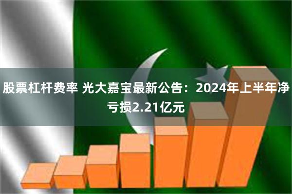 股票杠杆费率 光大嘉宝最新公告：2024年上半年净亏损2.21亿元