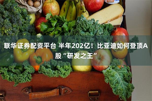 联华证券配资平台 半年202亿！比亚迪如何登顶A股“研发之王”