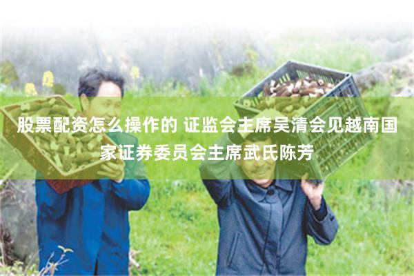 股票配资怎么操作的 证监会主席吴清会见越南国家证券委员会主席武氏陈芳