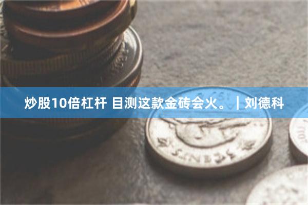 炒股10倍杠杆 目测这款金砖会火。︱刘德科