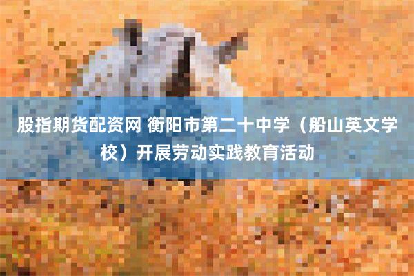 股指期货配资网 衡阳市第二十中学（船山英文学校）开展劳动实践教育活动
