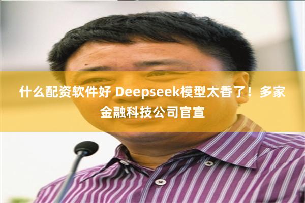 什么配资软件好 Deepseek模型太香了！多家金融科技公司官宣
