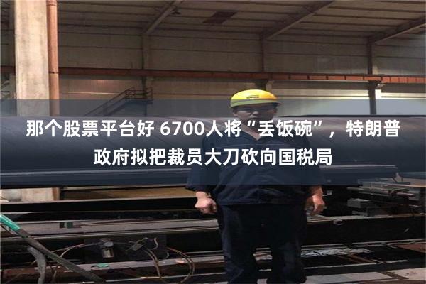 那个股票平台好 6700人将“丢饭碗”，特朗普政府拟把裁员大刀砍向国税局