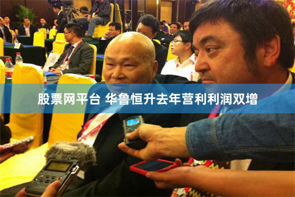 股票网平台 华鲁恒升去年营利利润双增