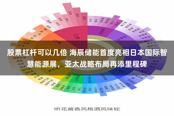 股票杠杆可以几倍 海辰储能首度亮相日本国际智慧能源展，亚太战略布局再添里程碑