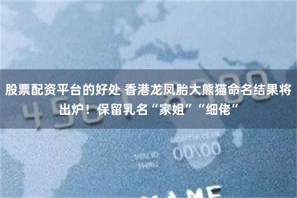 股票配资平台的好处 香港龙凤胎大熊猫命名结果将出炉！保留乳名“家姐”“细佬”
