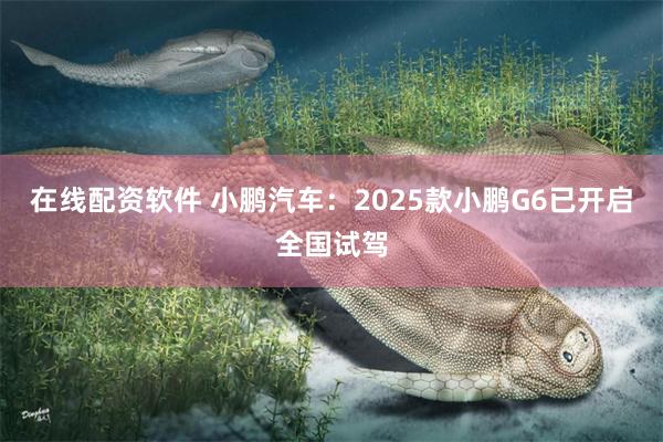 在线配资软件 小鹏汽车：2025款小鹏G6已开启全国试驾