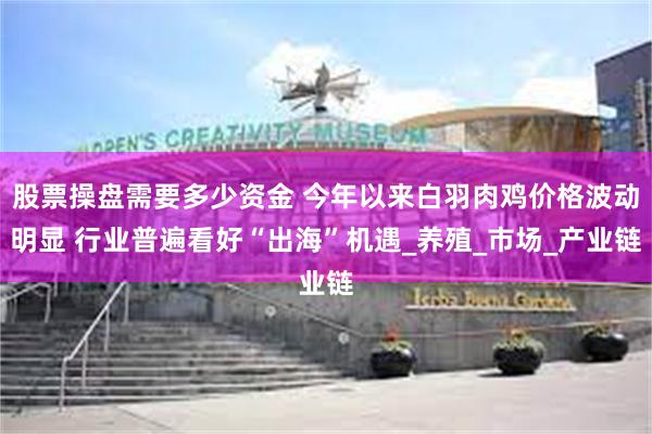 股票操盘需要多少资金 今年以来白羽肉鸡价格波动明显 行业普遍看好“出海”机遇_养殖_市场_产业链