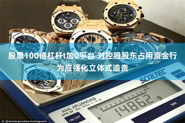 股票100倍杠杆t加0平台 对控股股东占用资金行为应强化立体式追责