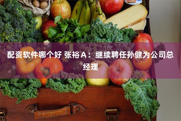 配资软件哪个好 张裕Ａ：继续聘任孙健为公司总经理