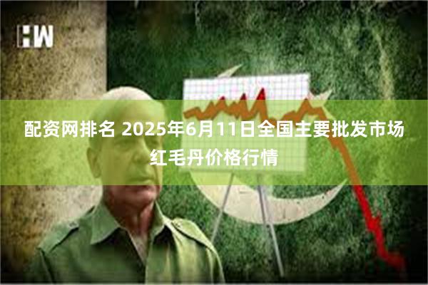 配资网排名 2025年6月11日全国主要批发市场红毛丹价格行情
