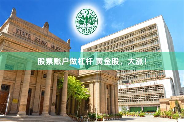 股票账户做杠杆 黄金股，大涨！