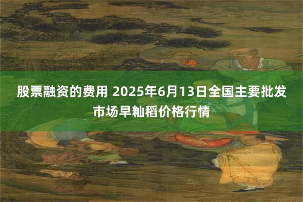 股票融资的费用 2025年6月13日全国主要批发市场早籼稻价格行情