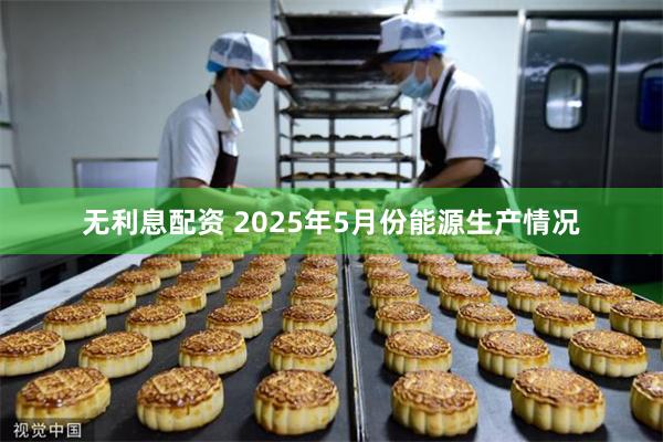 无利息配资 2025年5月份能源生产情况