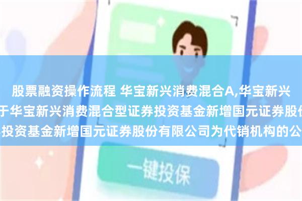 股票融资操作流程 华宝新兴消费混合A,华宝新兴消费混合C: 华宝基金关于华宝新兴消费混合型证券投资基金新增国元证券股份有限公司为代销机构的公告