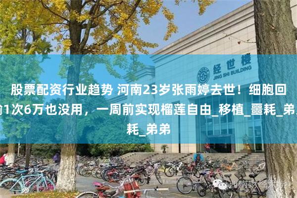 股票配资行业趋势 河南23岁张雨婷去世！细胞回输1次6万也没用，一周前实现榴莲自由_移植_噩耗_弟弟