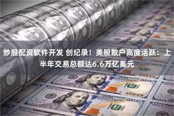炒股配资软件开发 创纪录！美股散户高度活跃：上半年交易总额达6.6万亿美元